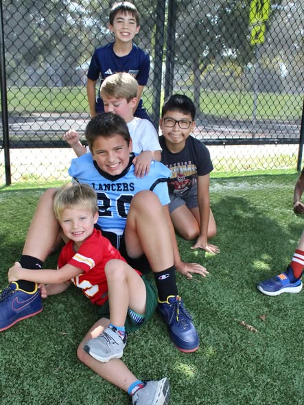 Board and governance practices